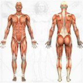 what is dry needling