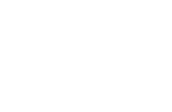 Integrative Dry Needling